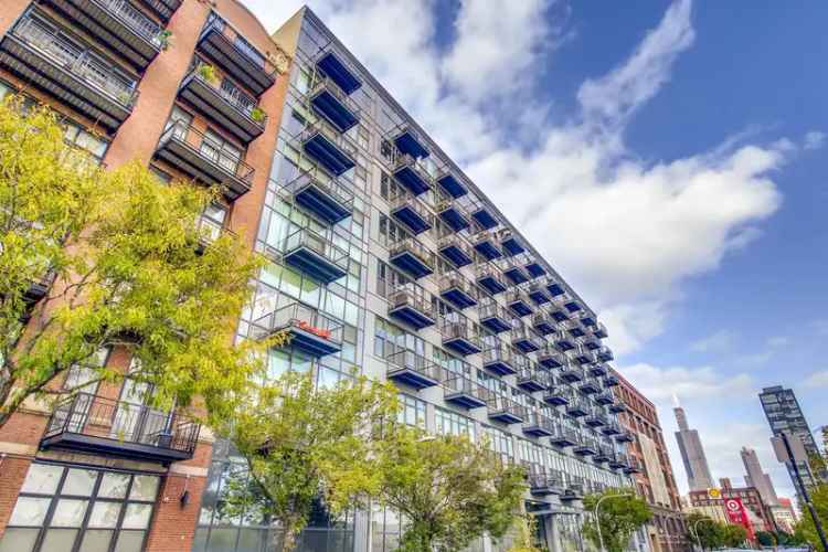 Largest 2 Bed 1.5 Bath West Loop Home 1150+ Sq Ft