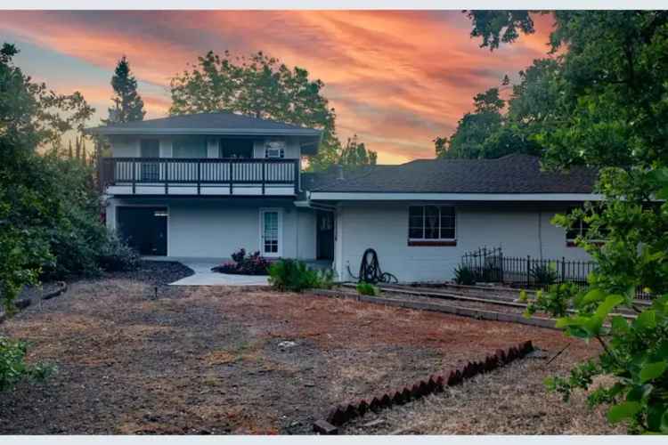 Palo Alto Barron Park 5-Bed 3-Bath Home Large Lot Two Primary Suites